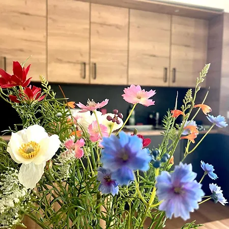 Family 2 Bedroom Ski&bike With Terrase